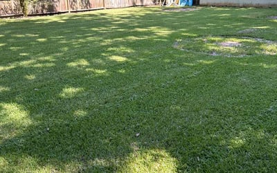 Photo of Karla R.'s yard after getting lawn care in Darlington, SC