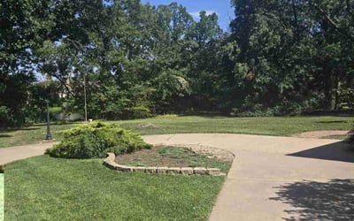 Photo of Pamela D.'s yard after getting lawn care in Sayreville, NJ