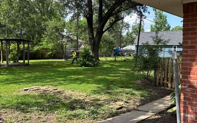 Photo of Tina H.'s yard after getting lawn care in Englewood, OH