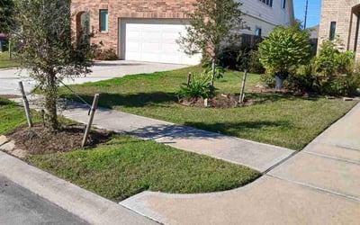 Photo of Suzanne M.'s yard after getting lawn care in Bremerton, WA