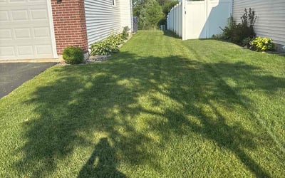 Photo of Ashley Y.'s yard after getting lawn care in Springfield, OR