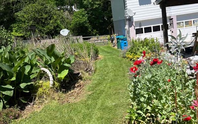 Photo of Robin G.'s yard after getting lawn care in Marshall, NC