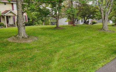 Photo of Fernando S.'s yard after getting lawn care in Apex, NC