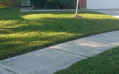 Photo of Bethany H.'s yard after getting lawn care in Oshkosh, WI