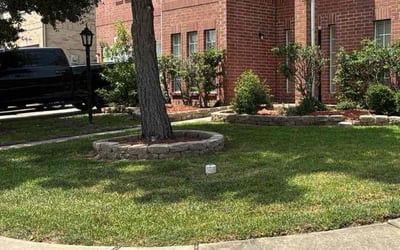 Photo of Amy P.'s yard after getting lawn care in Orlando, FL