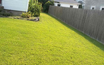 Photo of Tammy B.'s yard after getting lawn care in West Warwick, RI