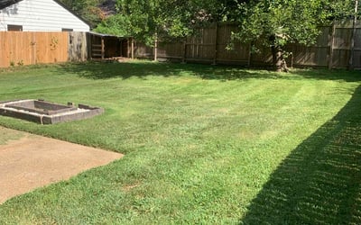 Photo of Tameka H.'s yard after getting lawn care in Evergreen, CO