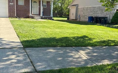 Photo of Dre B.'s yard after getting lawn care in Columbia, SC