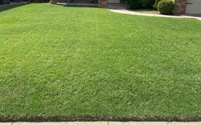 Photo of Jay L.'s yard after getting lawn care in Sheridan, AR