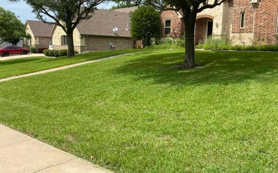 Photo of Lisa F.'s yard after getting lawn care in Rockford, IL