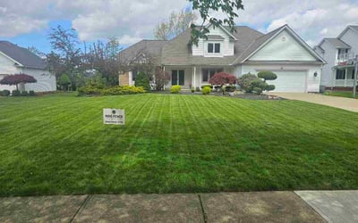 Photo of Bill M.'s yard after getting lawn care in Saginaw, MI