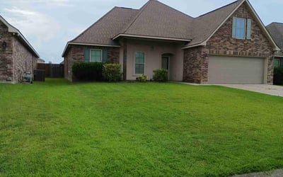 Photo of Nancy B.'s yard after getting lawn care in Murrells Inlet, SC