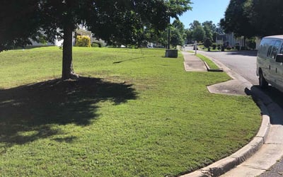Photo of Emmanes W.'s yard after getting lawn care in Snellville, GA