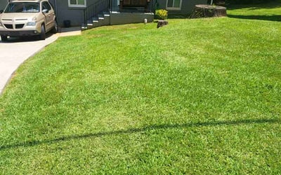 Photo of Jasmin S.'s yard after getting lawn care in Leavenworth, KS