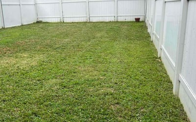 Photo of Jalen R.'s yard after getting lawn care in Spring Valley, NY