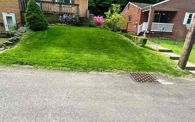 Photo of James F.'s yard after getting lawn care in Apollo, PA
