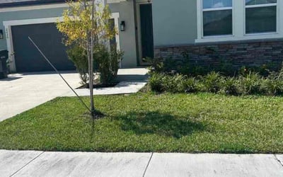 Photo of Bryan M.'s yard after getting lawn care in Saint George, UT