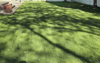 Photo of Clinton S.'s yard after getting lawn care in American Fork, UT