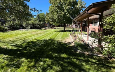 Photo of Ray S.'s yard after getting lawn care in Longmont, CO
