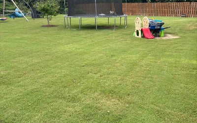Photo of Faust A.'s yard after getting lawn care in Warren, OH