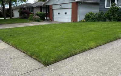 Photo of Deborah K.'s yard after getting lawn care in Castle Rock, CO
