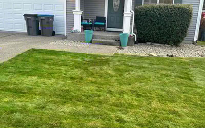 Photo of Heather J.'s yard after getting lawn care in Port Orchard, WA