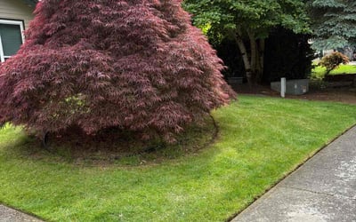 Photo of Carla F.'s yard after getting lawn care in Moline, IL