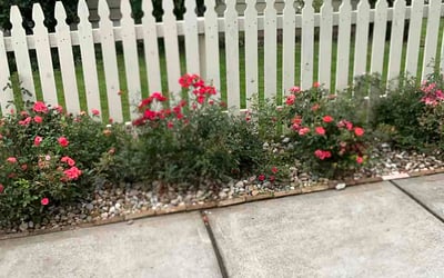 Photo of Alyssa W.'s yard after getting lawn care in Lenoir, NC