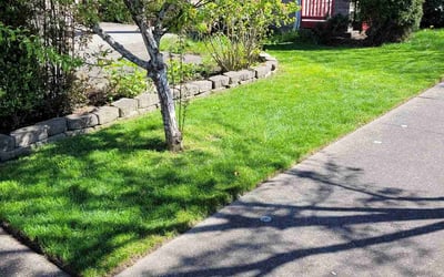 Photo of Ramon M.'s yard after getting lawn care in Lacey, WA