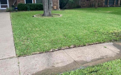 Photo of Sandy X.'s yard after getting lawn care in Cedar Hill, TX