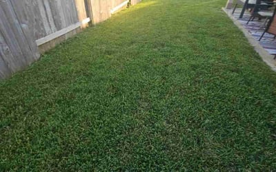 Photo of Steven P.'s yard after getting lawn care in Freeport, TX