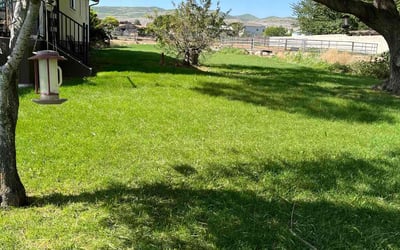 Photo of Raymond K.'s yard after getting lawn care in Edmond, OK
