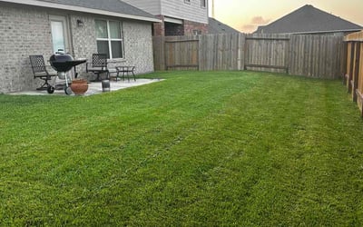 Photo of Jane H.'s yard after getting lawn care in Jupiter, FL