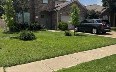 Photo of Deena P.'s yard after getting lawn care in Tyler, TX