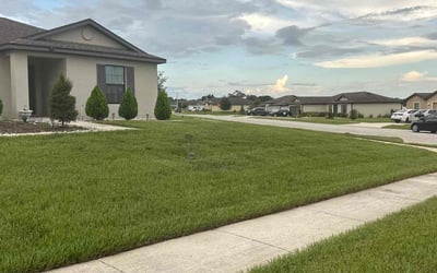 Photo of Jenny E.'s yard after getting lawn care in Stockton, CA