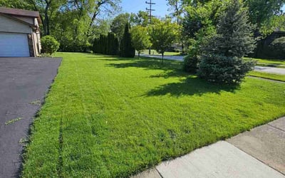 Photo of Johnna B.'s yard after getting lawn care in Willowbrook, IL