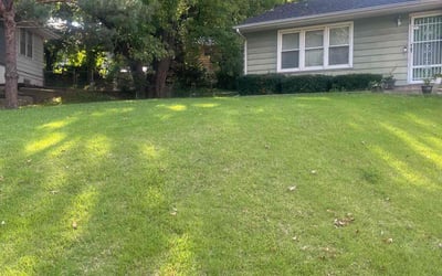 Photo of Noor A.'s yard after getting lawn care in Kansas City, MO