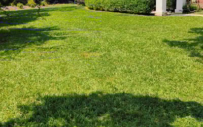 Photo of Patricia B.'s yard after getting lawn care in Cedar Lake, IN