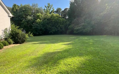 Photo of Raul M.'s yard after getting lawn care in Jenison, MI