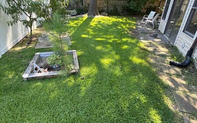 Photo of Edmundo F.'s yard after getting lawn care in Yorktown, VA
