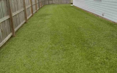 Photo of Otis B.'s yard after getting lawn care in Woodstock, GA