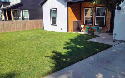 Photo of Ivory T.'s yard after getting lawn care in San Bruno, CA