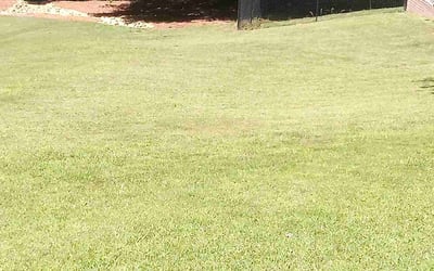 Photo of Phyllis B.'s yard after getting lawn care in Pass Christian, MS