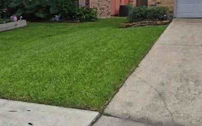 Photo of Brandon G.'s yard after getting lawn care in Southgate, MI