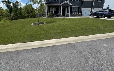 Photo of Jane E.'s yard after getting lawn care in Morrow, GA