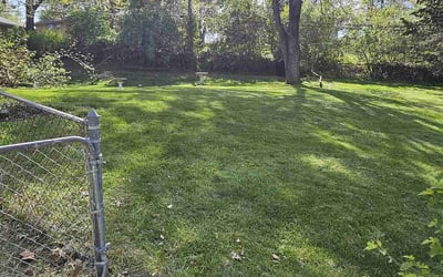 Photo of Amanda B.'s yard after getting lawn care in Kansas City, MO