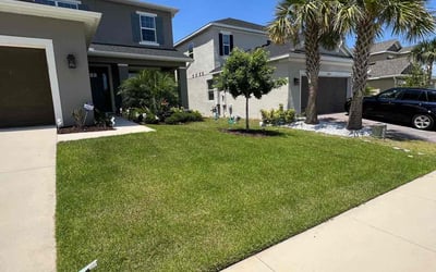 Photo of Che S.'s yard after getting lawn care in Missouri City, TX
