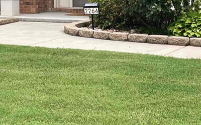 Photo of Treyce S.'s yard after getting lawn care in Austell, GA