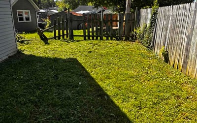 Photo of Brian B.'s yard after getting lawn care in Germantown, WI