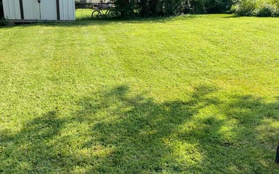 Photo of Marena B.'s yard after getting lawn care in Chicopee, MA